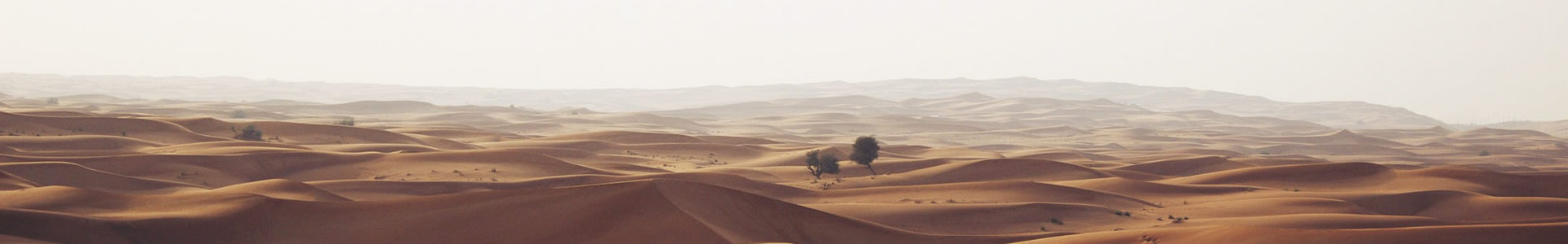 ֣иӿƼ޹˾